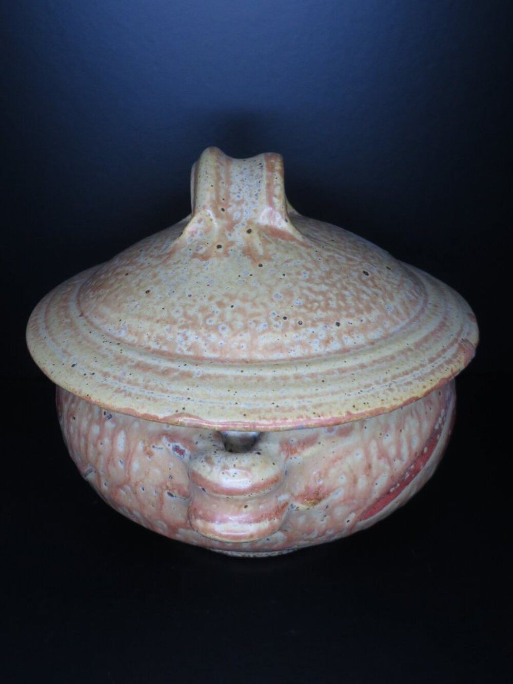 Covered Ceramic Bowl - Picture 6 of 10